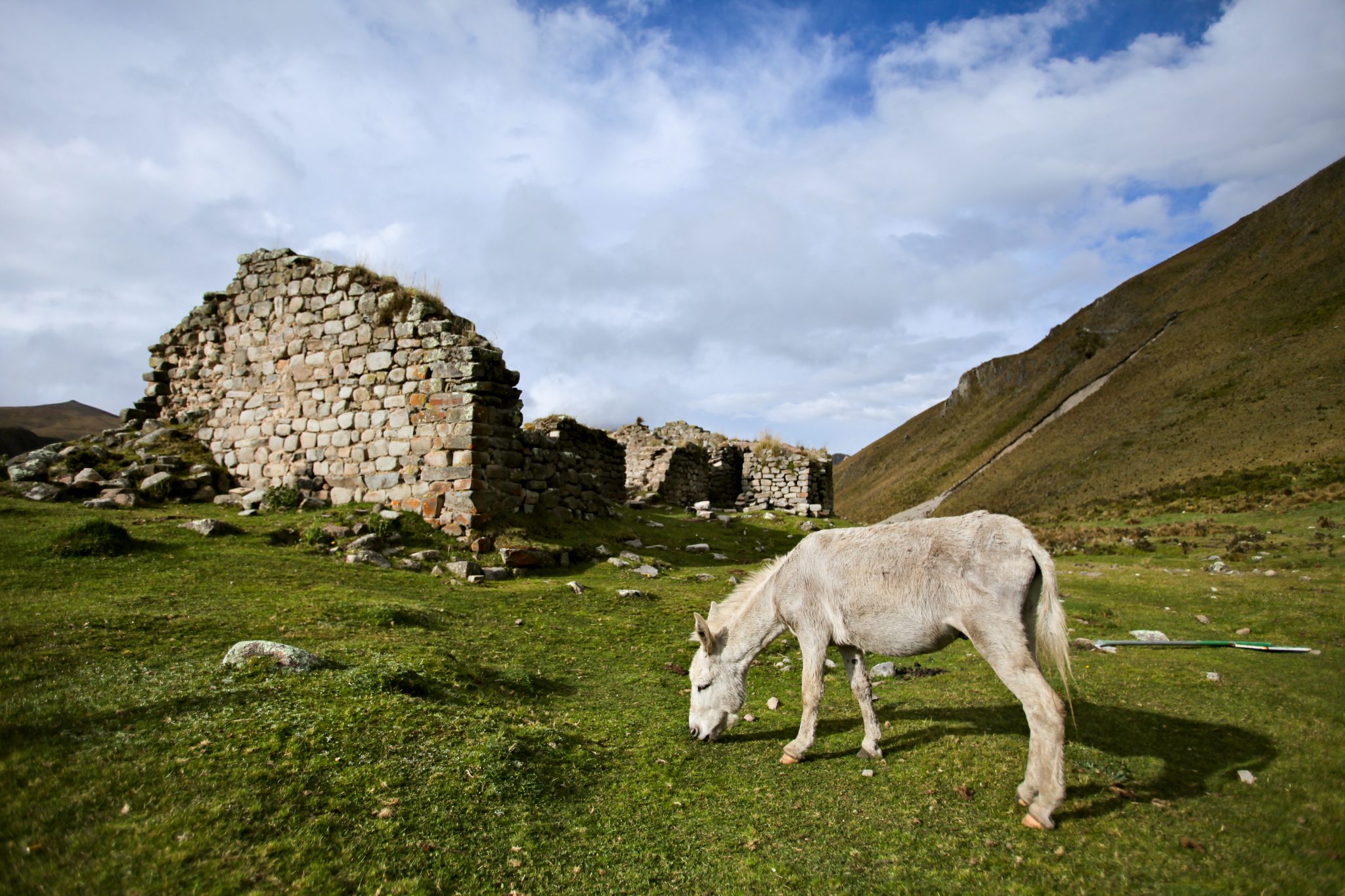 inca trail and galapagos tours